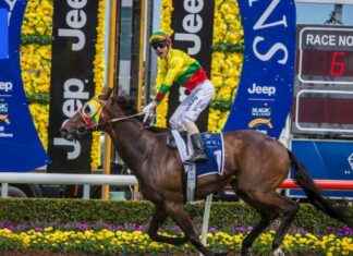 Magic Millions Track Under Investigation for Potential Poisoning magic-millions-track-under-nvestigation-for-potential-poisoning