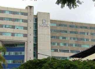 Man arrested for setting woman on fire near Brisbane: Latest Updates man-arrested-for-setting-woman-on-fire-near-brisbane-latest-updates