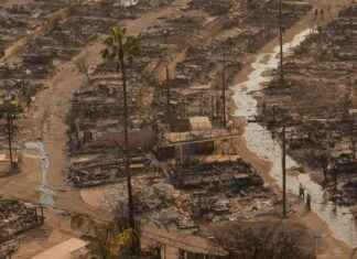 Massive Destruction in Los Angeles: Over 10,000 Structures Destroyed, Hundreds of Thousands Evacuated massive-destruction-in-los-angeles-over-10000-structures-destroyed-hundreds-of-thousands-evacuated