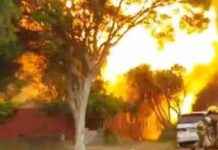 Melbourne ‘Hoarder House’ Fire: What Happened and Why melbourne-hoarder-house-fire-what-happened-and-why