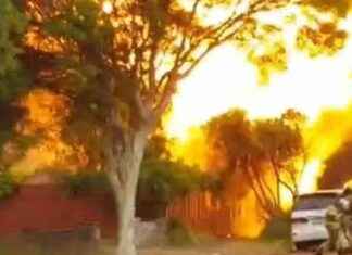 Melbourne ‘Hoarder House’ Fire: What Happened and Why melbourne-hoarder-house-fire-what-happened-and-why