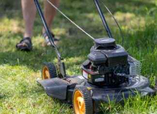 Mowing Lawns in New Zealand: Guidelines and Tips for Proper Lawn Care mowing-lawns-in-new-zealand-guidelines-and-tips-for-proper-lawn-care