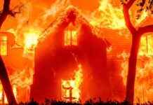 Impact of Los Angeles Fires: $242 Billion Damage Bill mpact-of-los-angeles-fires-242-billion-damage-bill