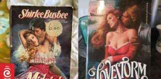 Mystery Novels Arrive in Lower Hutt: A Romance in the Letterbox mystery-novels-arrive-in-lower-hutt-a-romance-in-the-letterbox