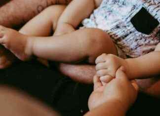 Paid Parental Leave Decision Upheld: Mother’s Bid Unsuccessful paid-parental-leave-decision-upheld-mothers-bid-unsuccessful