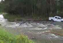 Pastor’s Body Found in NSW Floodwaters: Update on Disappearance pastors-body-found-in-nsw-floodwaters-update-on-disappearance