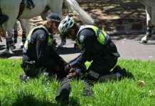 Police arrest 16 neo-Nazi group members on Australia Day police-arrest-16-neo-nazi-group-members-on-australia-day