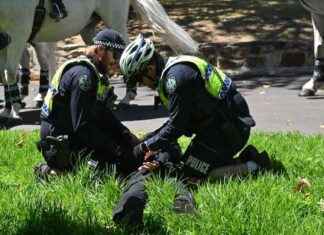 Police arrest 16 neo-Nazi group members on Australia Day police-arrest-16-neo-nazi-group-members-on-australia-day