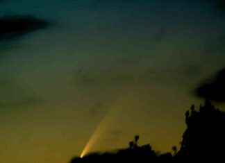 Rare Atlas Comet Viewing Opportunity in New Zealand Sky rare-atlas-comet-viewing-opportunity-in-new-zealand-sky