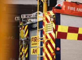 Rescue Operation: Person Freed from Caravan Trapped by Fallen Tree rescue-operation-person-freed-from-caravan-trapped-by-fallen-tree