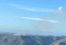 Rescue Operation Saves Seven Individuals Trapped by Fire at West Auckland Beach rescue-operation-saves-seven-ndividuals-trapped-by-fire-at-west-auckland-beach