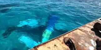 Retrieving Wreckage from Triple-Fatal WA Seaplane Crash retrieving-wreckage-from-triple-fatal-wa-seaplane-crash