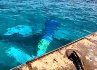 Retrieving Wreckage from Triple-Fatal WA Seaplane Crash retrieving-wreckage-from-triple-fatal-wa-seaplane-crash