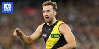 Richmond Tiger Noah Balta Assault Charges: What You Need to Know richmond-tiger-noah-balta-assault-charges-what-you-need-to-know