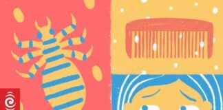 Risks of Alternative Head Lice Treatments: What Parents Should Know risks-of-alternative-head-lice-treatments-what-parents-should-know