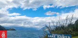 Safety Alert: Avoid Swimming at Two Popular Otago Holiday Spots safety-alert-avoid-swimming-at-two-popular-otago-holiday-spots