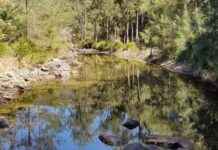 Search for Missing Queensland Woman in Water Tubing Incident search-for-missing-queensland-woman-in-water-tubing-ncident