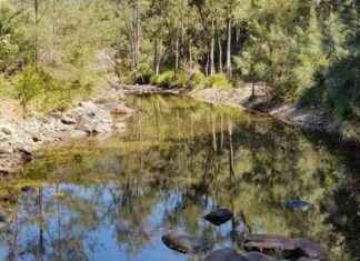 Search for Missing Queensland Woman in Water Tubing Incident search-for-missing-queensland-woman-in-water-tubing-ncident