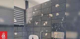 Shaming Southland Toilet Vandals: ‘Brainless Numpty’ Council Post shaming-southland-toilet-vandals-brainless-numpty-council-post