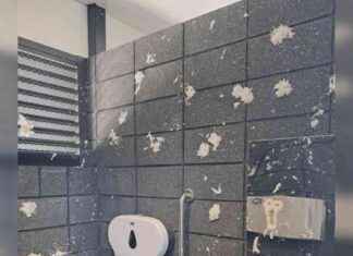 Shaming Southland Toilet Vandals: ‘Brainless Numpty’ Council Post shaming-southland-toilet-vandals-brainless-numpty-council-post