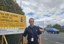 South Auckland Fruit Fly Incursion: Over 100 New Traps Installed south-auckland-fruit-fly-ncursion-over-100-new-traps-nstalled