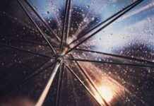 Sunny Summer Weather Returns After Wet Weekend Ahead sunny-summer-weather-returns-after-wet-weekend-ahead