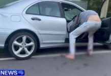 Teenage Driver Survives Crash and Discards Gold Machete in Drain teenage-driver-survives-crash-and-discards-gold-machete-in-drain