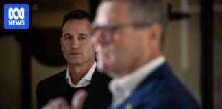 The AFL’s Political Challenge in Tasmania: What’s Next? the-afls-political-challenge-in-tasmania-whats-next