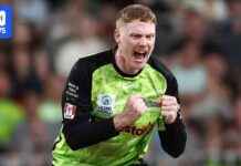 Tom Andrews’ Transformation: Office Worker to Big Bash Finals Star tom-andrews-transformation-office-worker-to-big-bash-finals-star