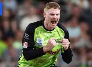 Tom Andrews’ Transformation: Office Worker to Big Bash Finals Star tom-andrews-transformation-office-worker-to-big-bash-finals-star