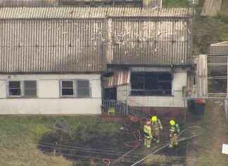 Tragic Death in House Fire at Hoarder’s Residence: What Happened? tragic-death-in-house-fire-at-hoarders-residence-what-happened