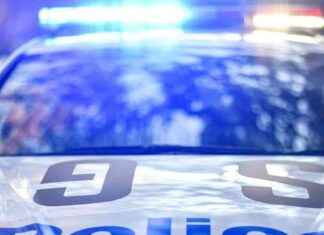 Tragic End to Desperate Search for Missing Five-Year-Old Sydney Boy tragic-end-to-desperate-search-for-missing-five-year-old-sydney-boy