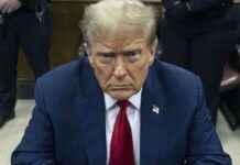 Trump’s lawyers seek to pause hush money case sentencing during appeal trumps-lawyers-seek-to-pause-hush-money-case-sentencing-during-appeal