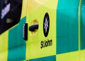 Volunteer Opportunities Needed for Loneliness Combat Service volunteer-opportunities-needed-for-loneliness-combat-service