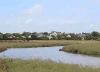 Warning: Southern Rivers at Risk from Toxic Algae Blooms warning-southern-rivers-at-risk-from-toxic-algae-blooms