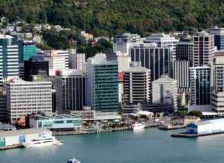 Wellington City Council Observer Report Uncovered wellington-city-council-observer-report-uncovered