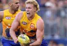 West Coast Eagles Young Player Charged with Public Urination west-coast-eagles-young-player-charged-with-public-urination