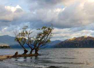 Youth Brawl in Wānaka Park: Causes and Solutions youth-brawl-in-wnaka-park-causes-and-solutions