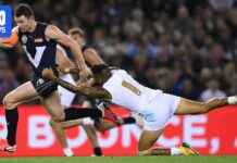 AFL State of Origin Revived by Dillon: What to Expect afl-state-of-origin-revived-by-dillon-what-to-expect