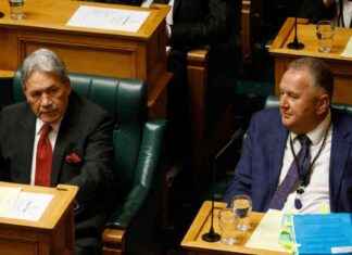 Attacks on Migrant Green MP Ricardo Menéndez March attacks-on-migrant-green-mp-ricardo-menndez-march