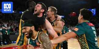 Brisbane Private Equity Firm Acquires Tasmania’s JackJumpers Basketball Team brisbane-private-equity-firm-acquires-tasmanias-jackjumpers-basketball-team