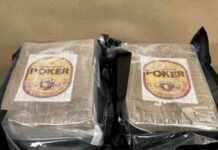 Customs Seizes $35 Million Cocaine at Auckland Airport customs-seizes-35-million-cocaine-at-auckland-airport