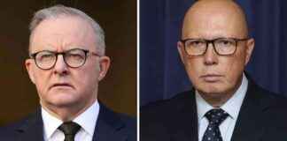 Dutton Emerges as Preferred PM as Coalition Gains Ground dutton-emerges-as-preferred-pm-as-coalition-gains-ground