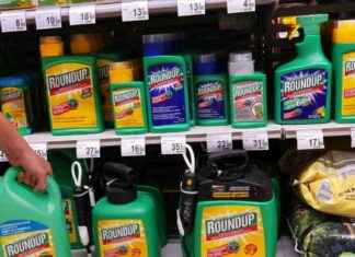 Environmental Group Challenges Regulator on Roundup Herbicide environmental-group-challenges-regulator-on-roundup-herbicide