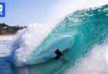 Legendary King Returns from Retirement Ready to Conquer Pipeline legendary-king-returns-from-retirement-ready-to-conquer-pipeline