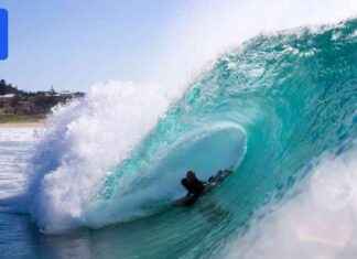 Legendary King Returns from Retirement Ready to Conquer Pipeline legendary-king-returns-from-retirement-ready-to-conquer-pipeline