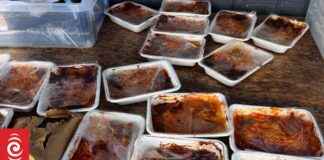 Low Appetite: School Lunches Go Uneaten low-appetite-school-lunches-go-uneaten