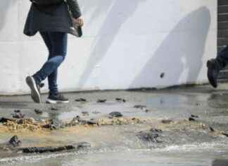 Improving Wellington Water’s Contractor Oversight for Better Results mproving-wellington-waters-contractor-oversight-for-better-results