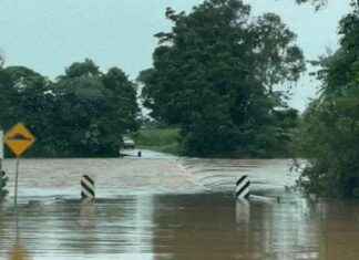 North Queensland Struggles in Major Flood Emergency: Unrelenting Rain north-queensland-struggles-in-major-flood-emergency-unrelenting-rain