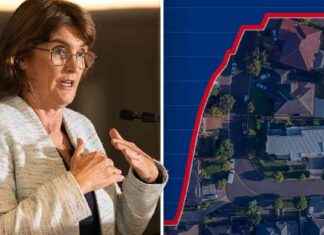 RBA Cuts Rates for First Time Since 2020: Live Updates rba-cuts-rates-for-first-time-since-2020-live-updates